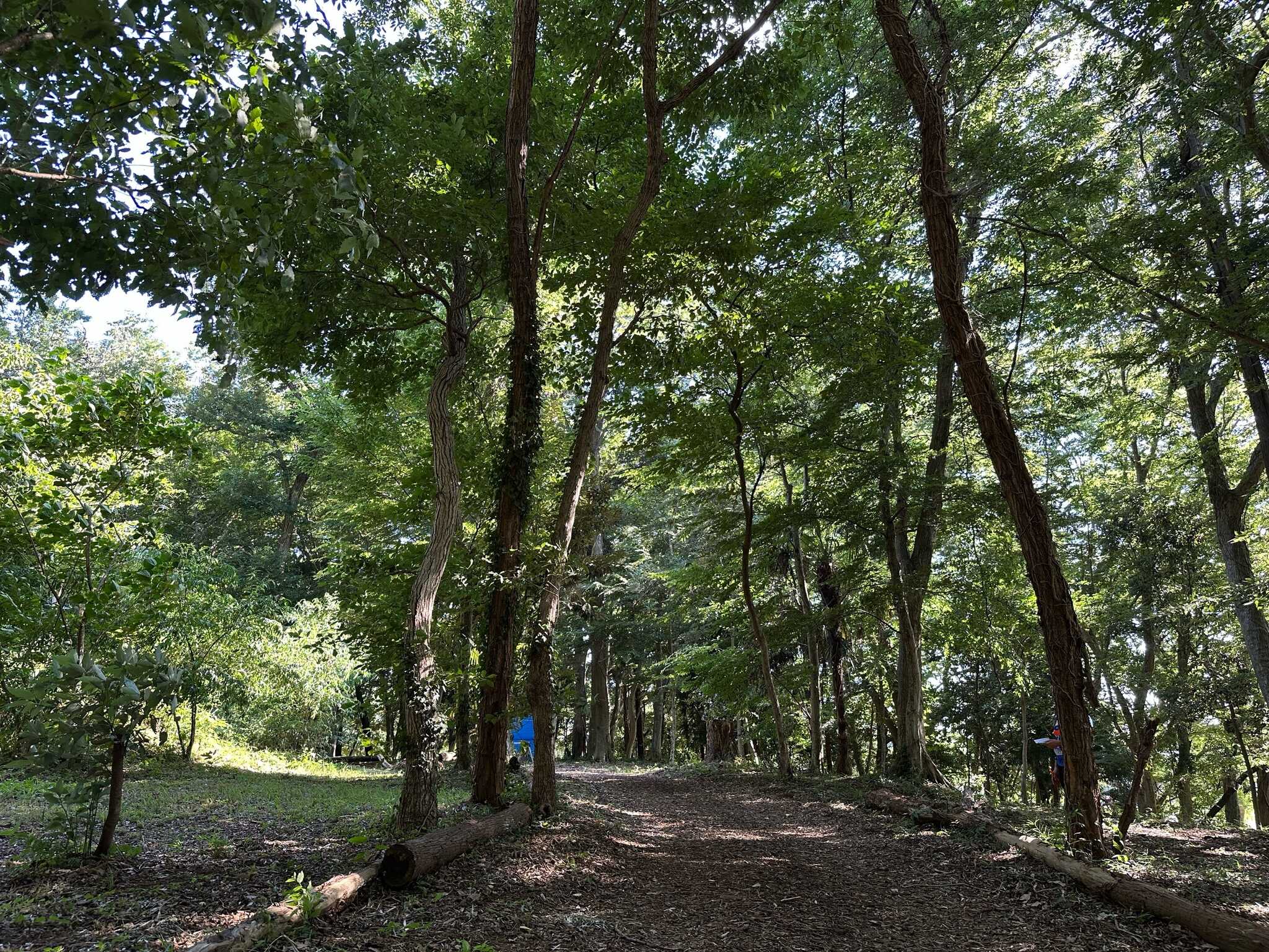みんなの里山キャンプ場