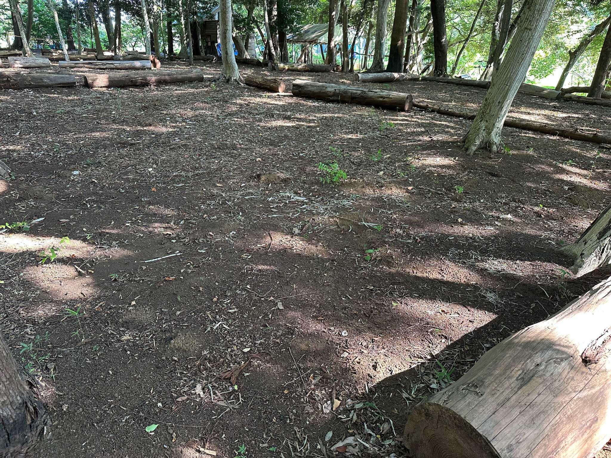みんなの里山キャンプ場