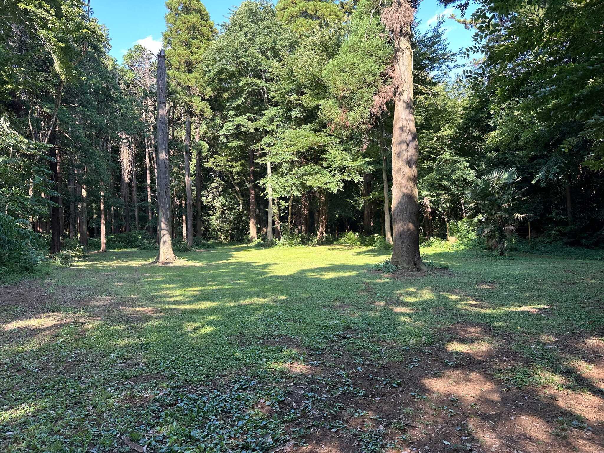 みんなの里山キャンプ場