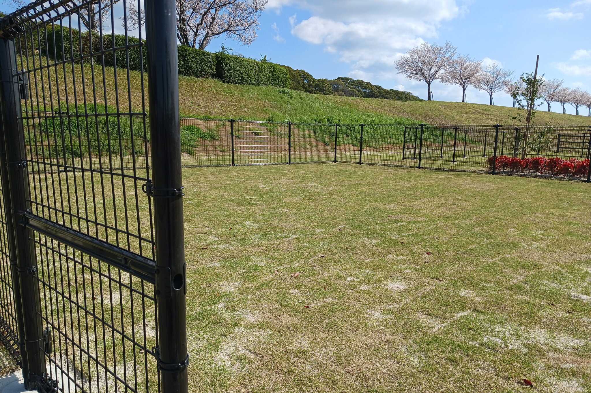 筑後広域公園オートキャンプ場の写真 3枚目