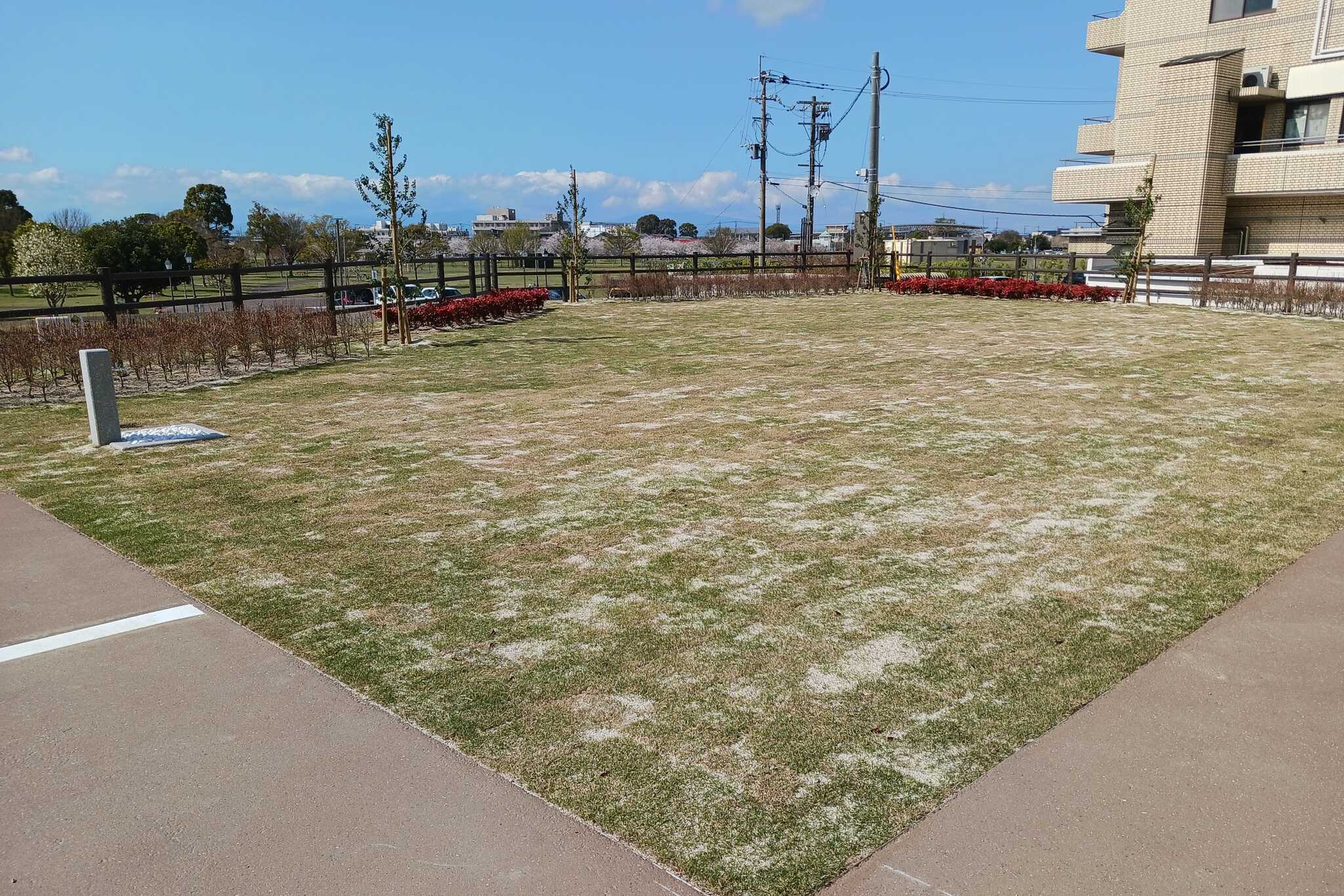 筑後広域公園オートキャンプ場の写真 4枚目
