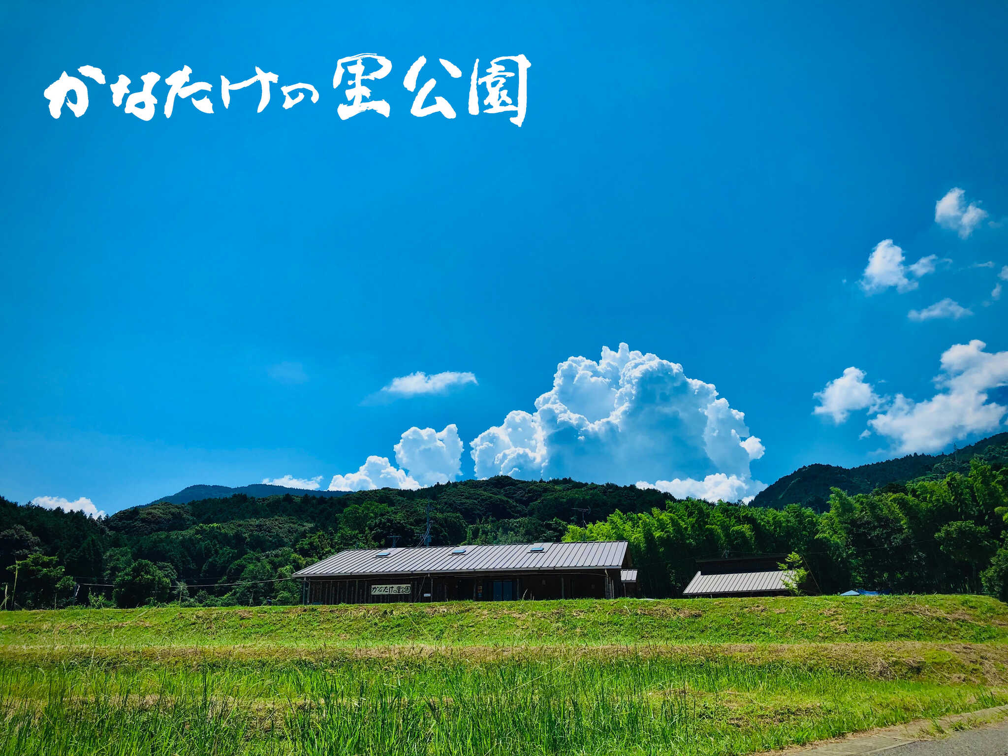 かなたけの里公園 デイキャンプ場