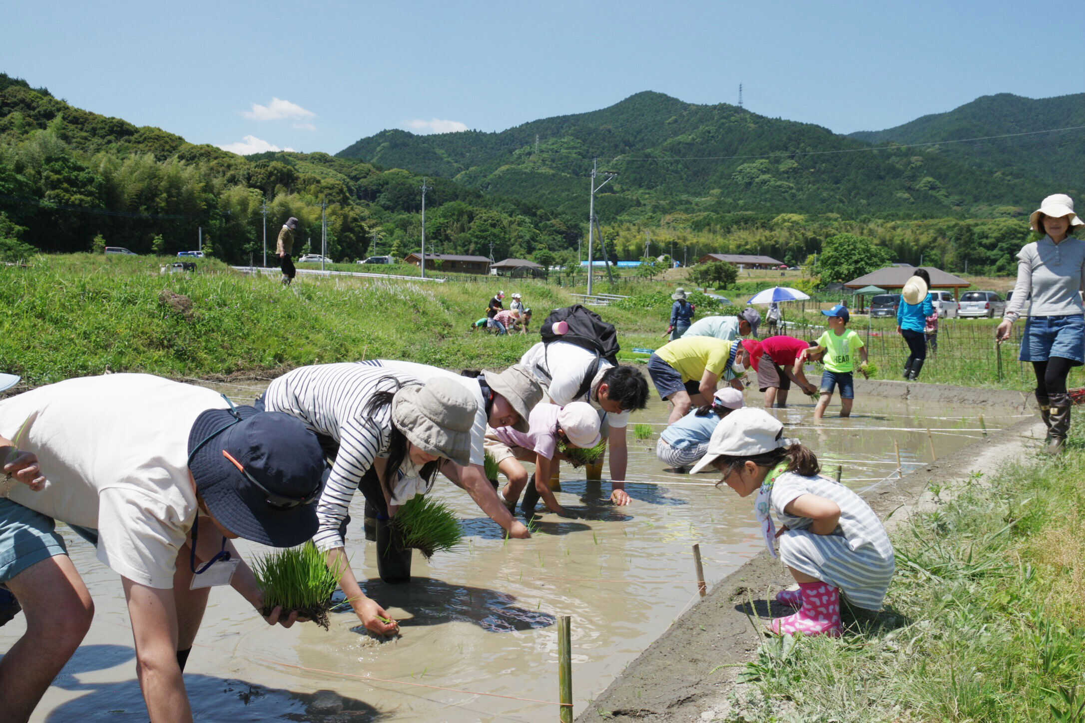 かなたけの里公園 デイキャンプ場の写真 5枚目
