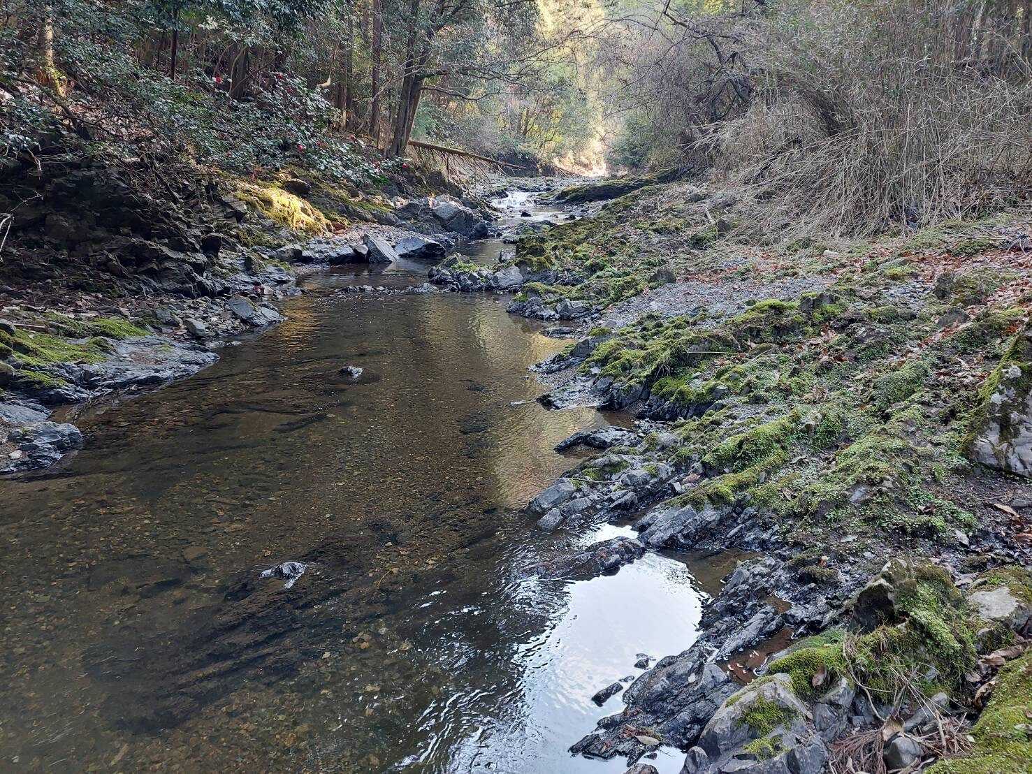 HAPPY川【River】の写真 4枚目