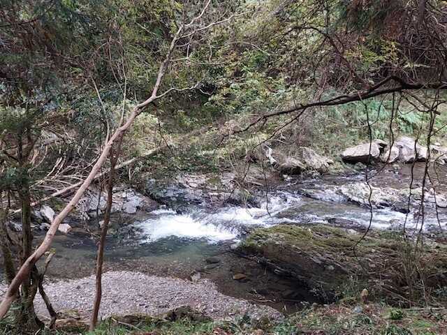 HAPPY川【River】の写真 5枚目