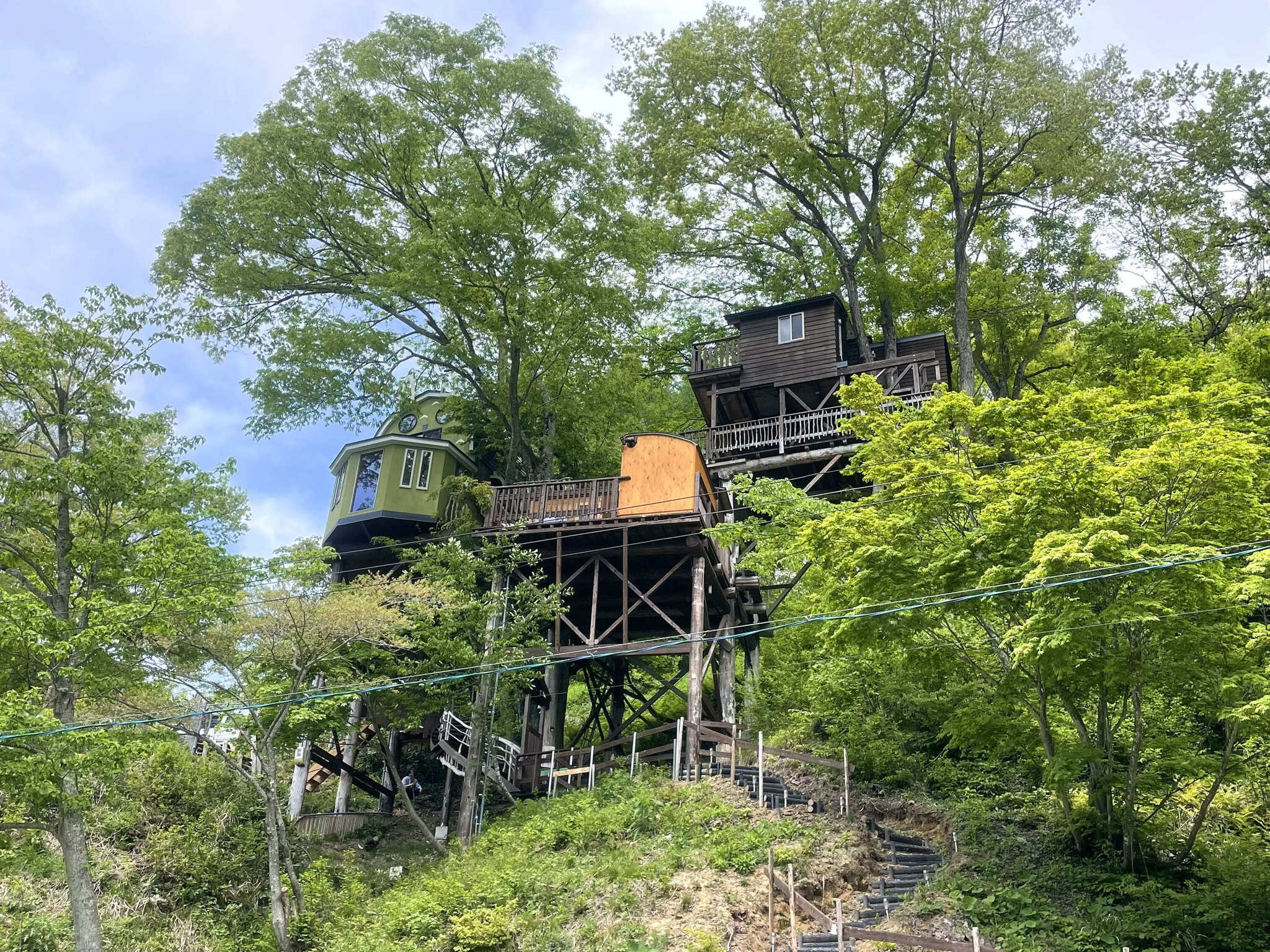 【ツリーハウス】1日1組限定!サウナ付きのツリーハウス 宿泊者はプライベートなサウナと森の中での外気浴を楽しめます。
