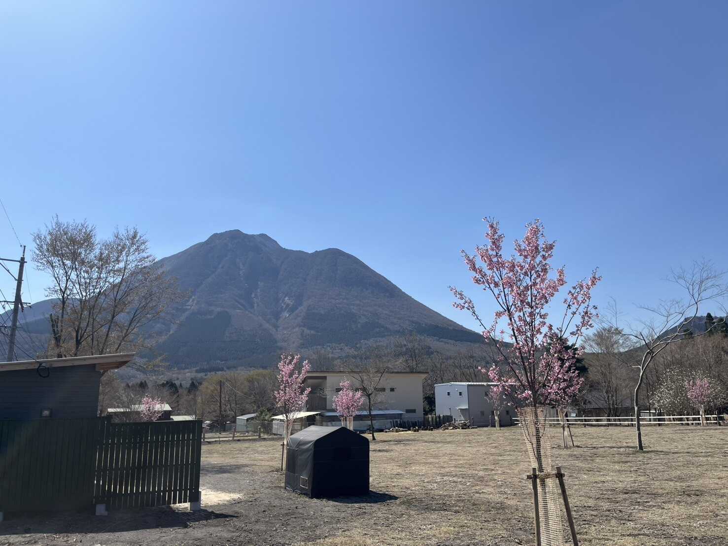 湯布院 塚原高原 AUTO VILLAGE(オートヴィレッジ)