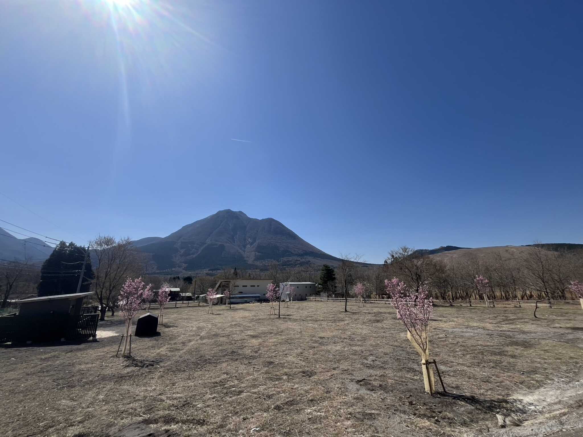 湯布院 塚原高原 AUTO VILLAGE(オートヴィレッジ)の写真 2枚目
