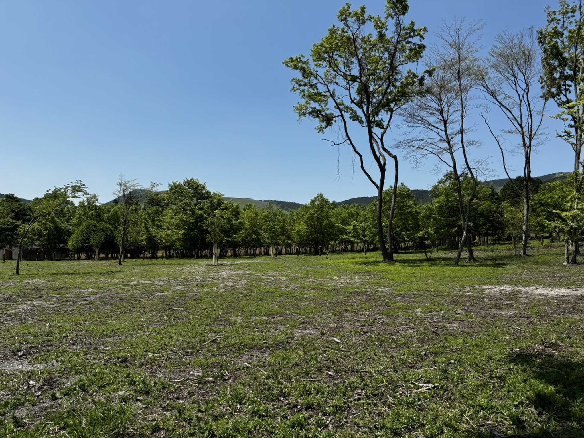 湯布院 塚原高原 AUTO VILLAGE(オートヴィレッジ)の写真 4枚目
