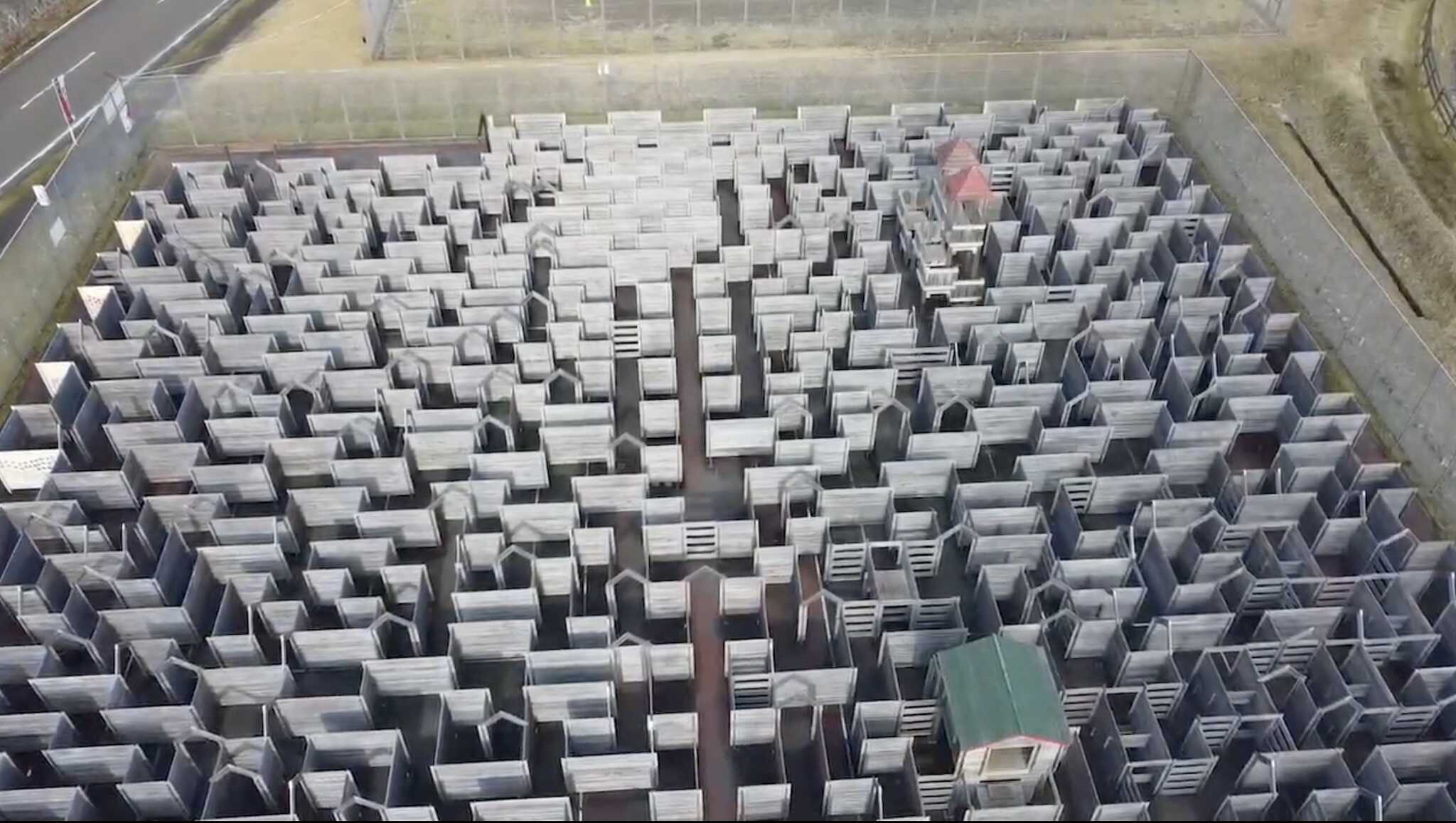 二王の森キャンプ場