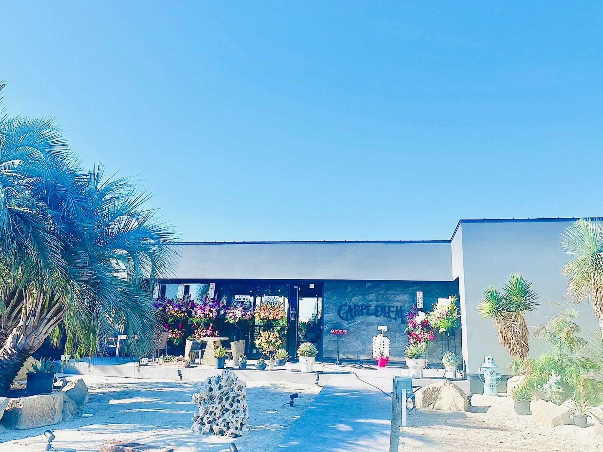 CD BASE SANO