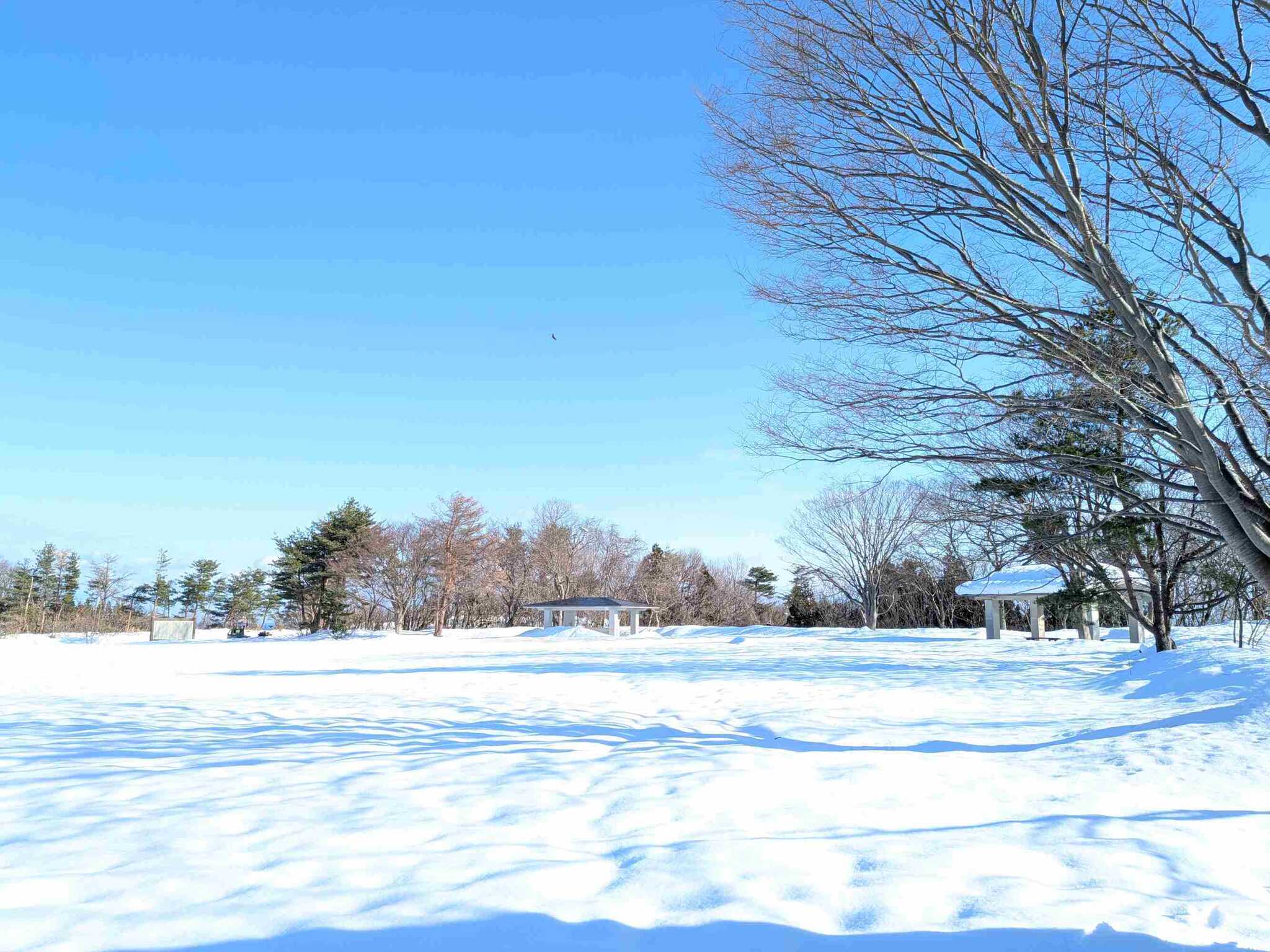 サイトAの雪景色