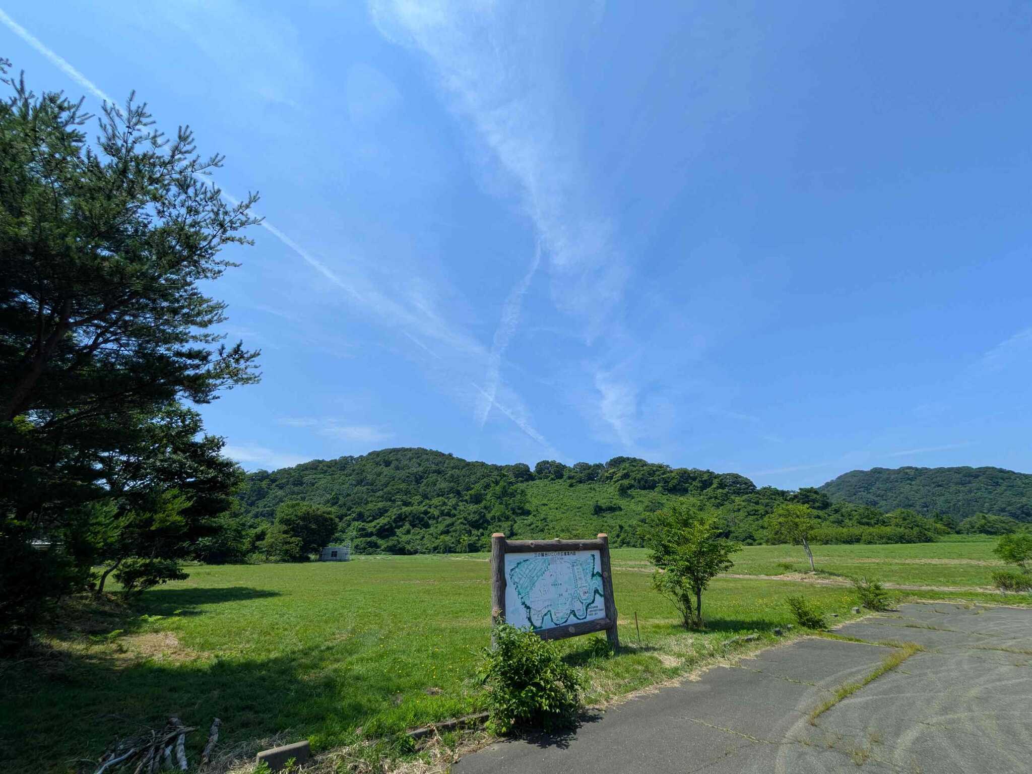 オートフリーサイト