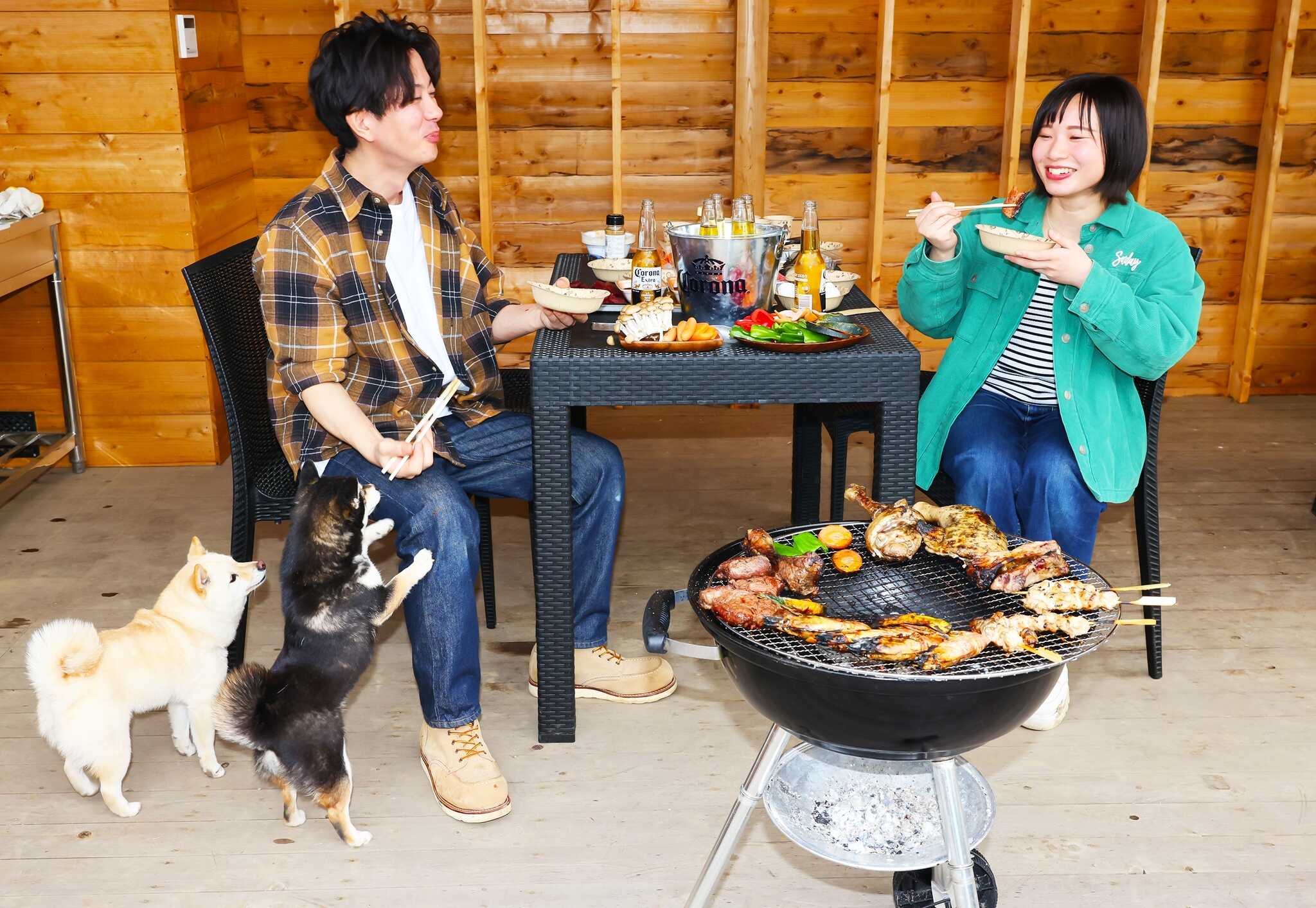 犬の遊び場DOG FIELDの写真 5枚目