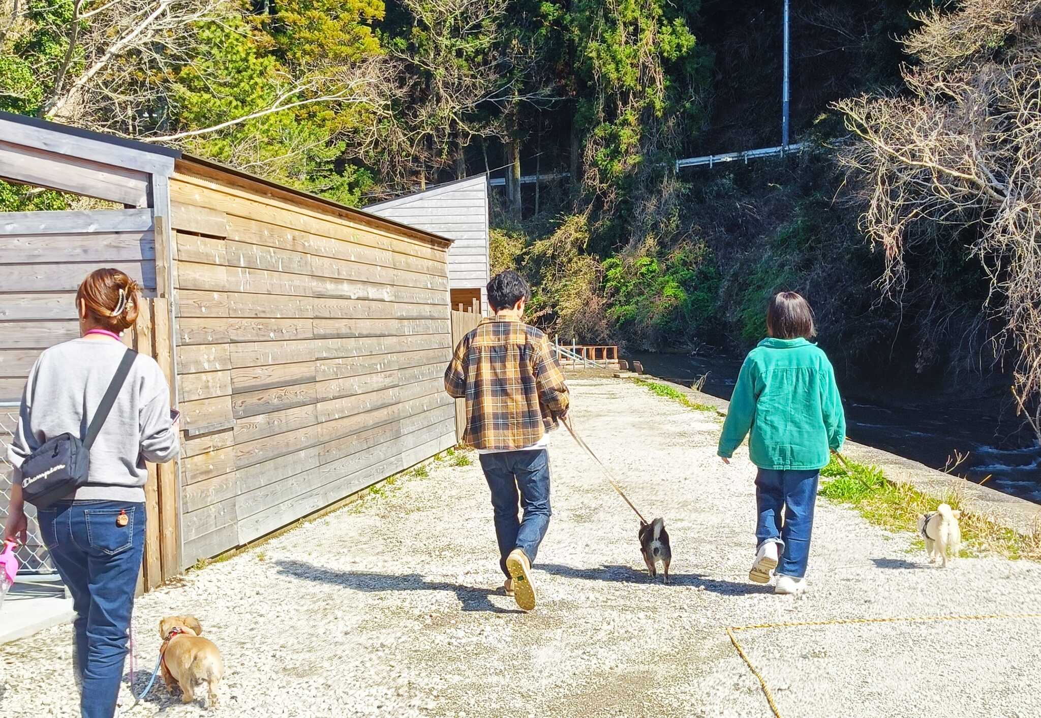 犬の遊び場DOG FIELDの写真 3枚目