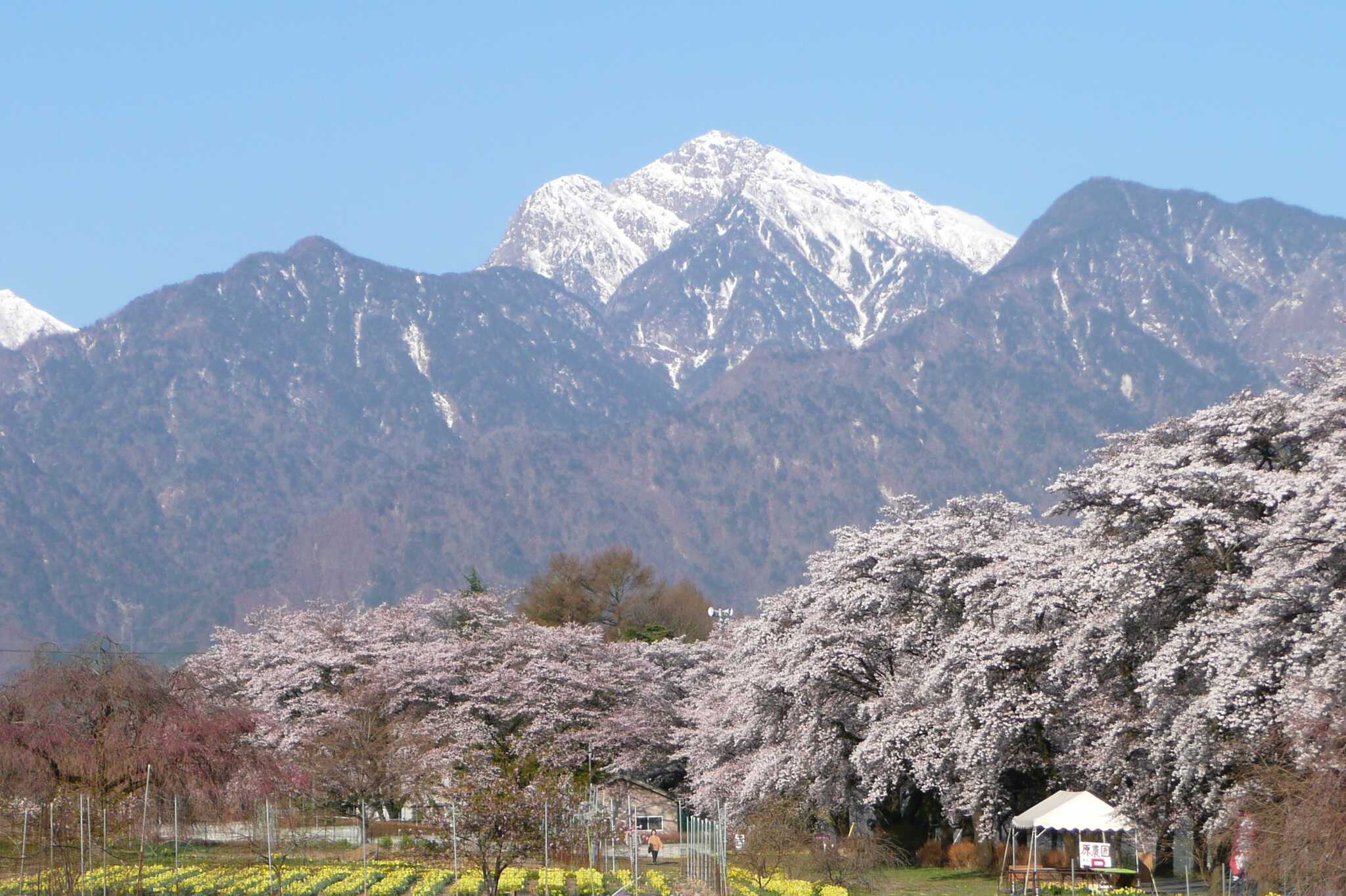 大武川オートキャンプ場
