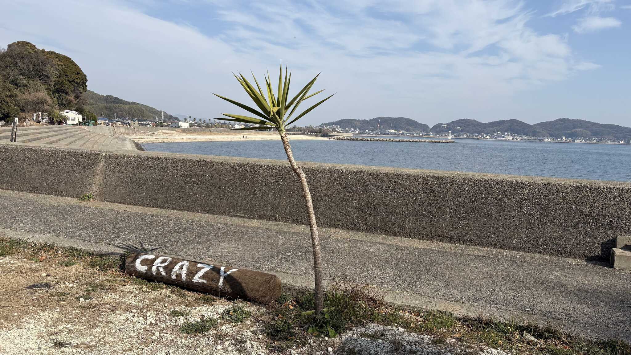SUP&CAMP CRAZY ON FLEEKの写真 2枚目