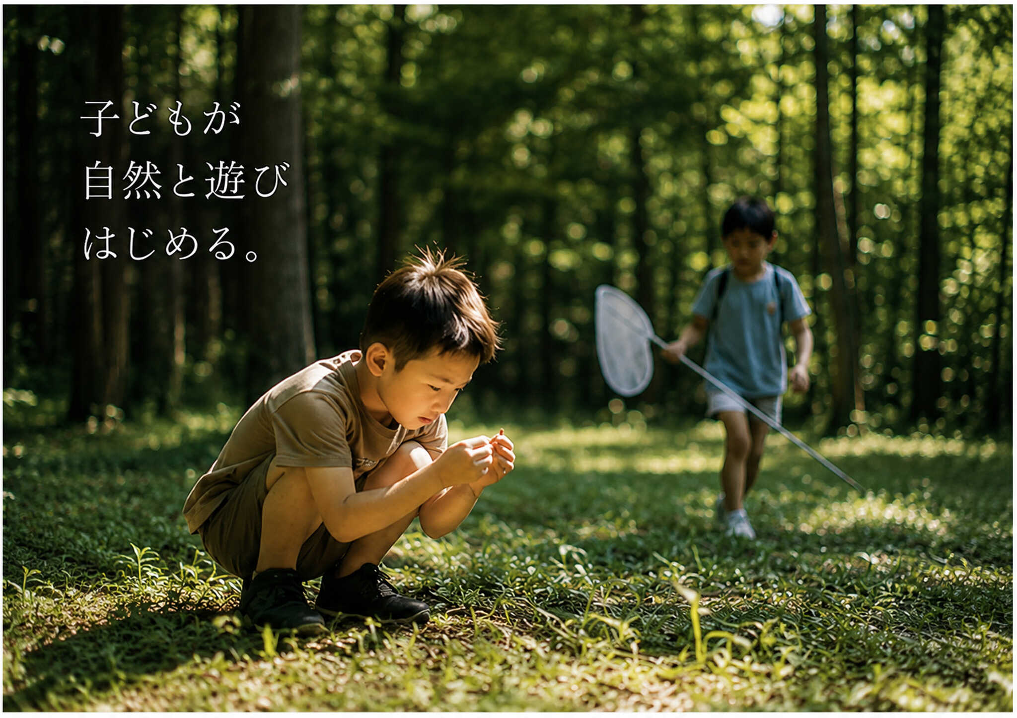Strawhat Camp Field(ストローハットキャンプフィールド)の写真 4枚目