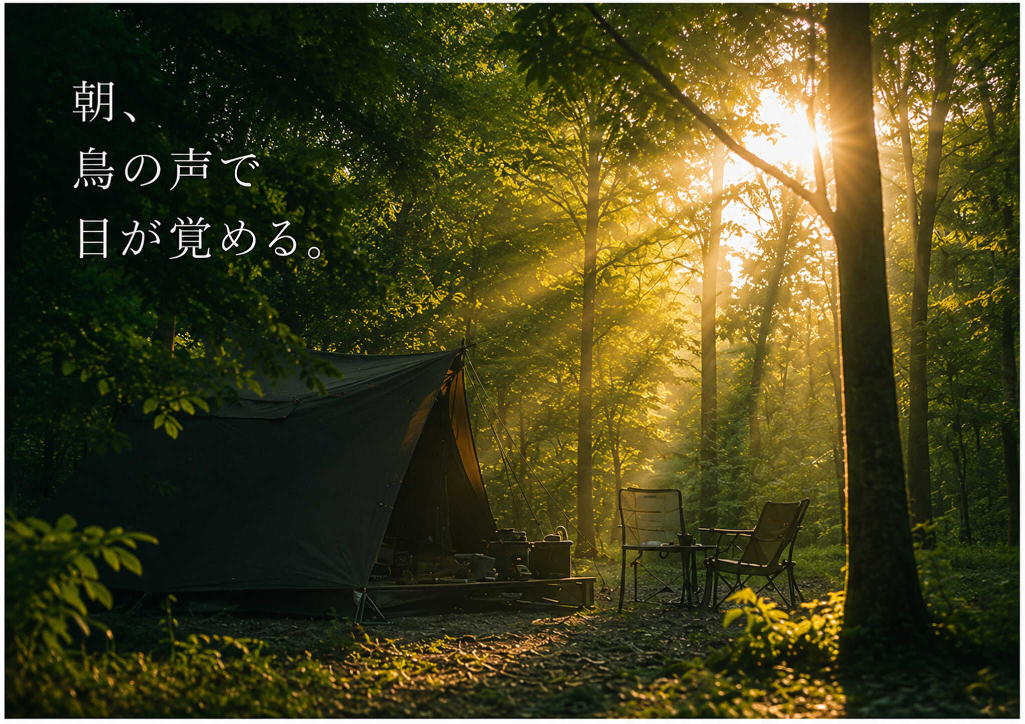 Strawhat Camp Field(ストローハットキャンプフィールド)の写真 2枚目