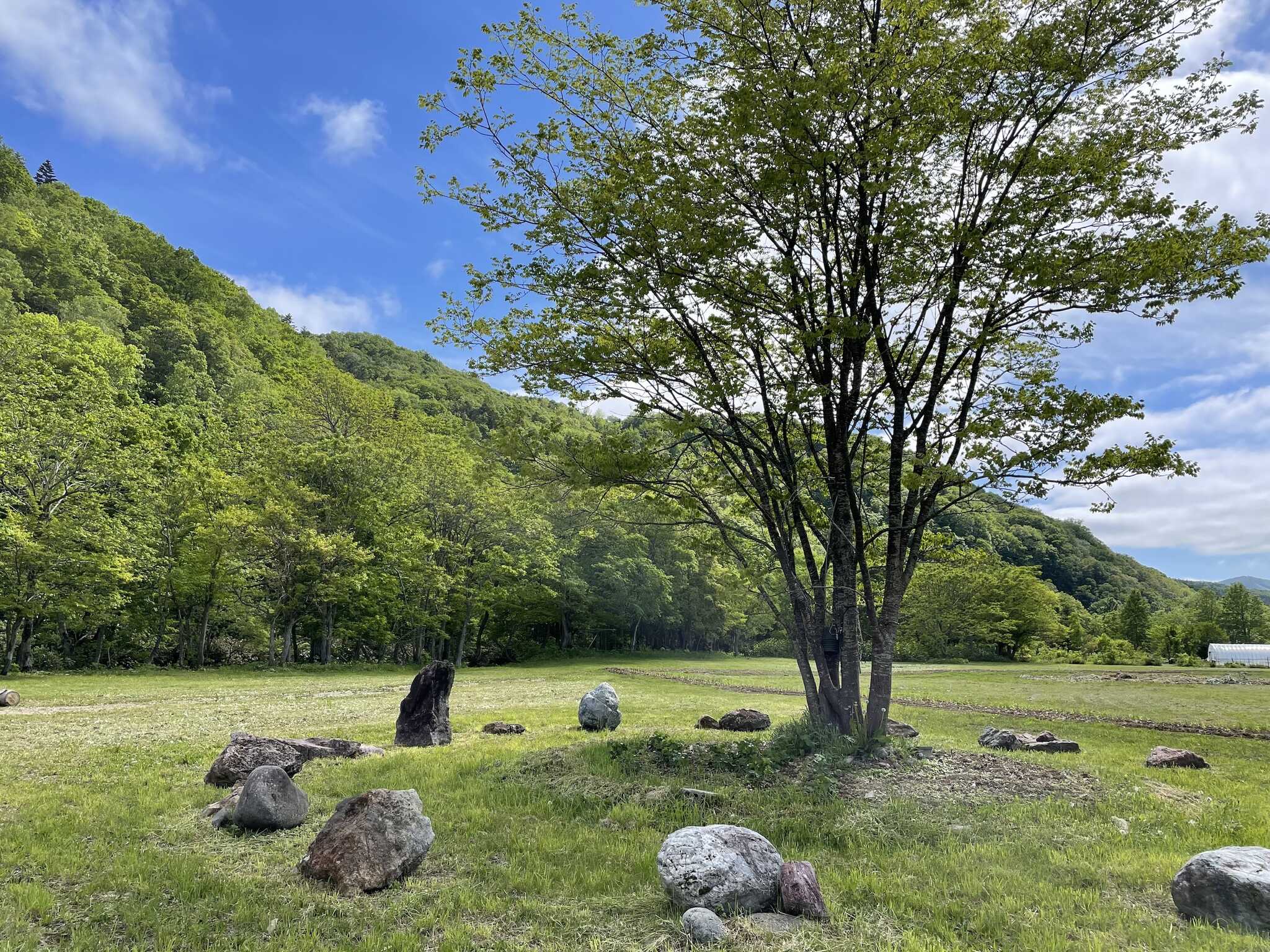 赤井川cielキャンプ場の写真 1枚目
