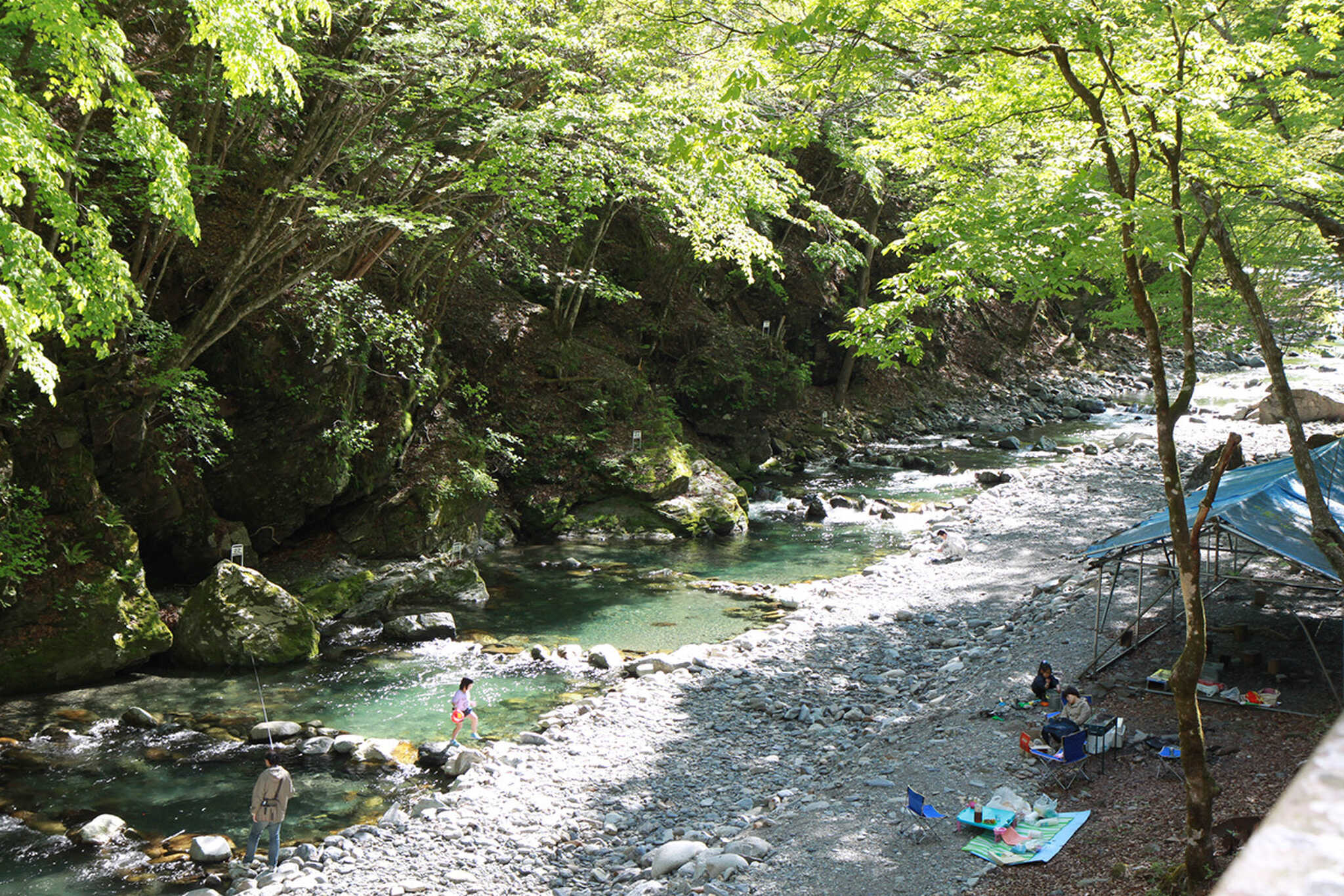 トラウトオン入川の写真 2枚目