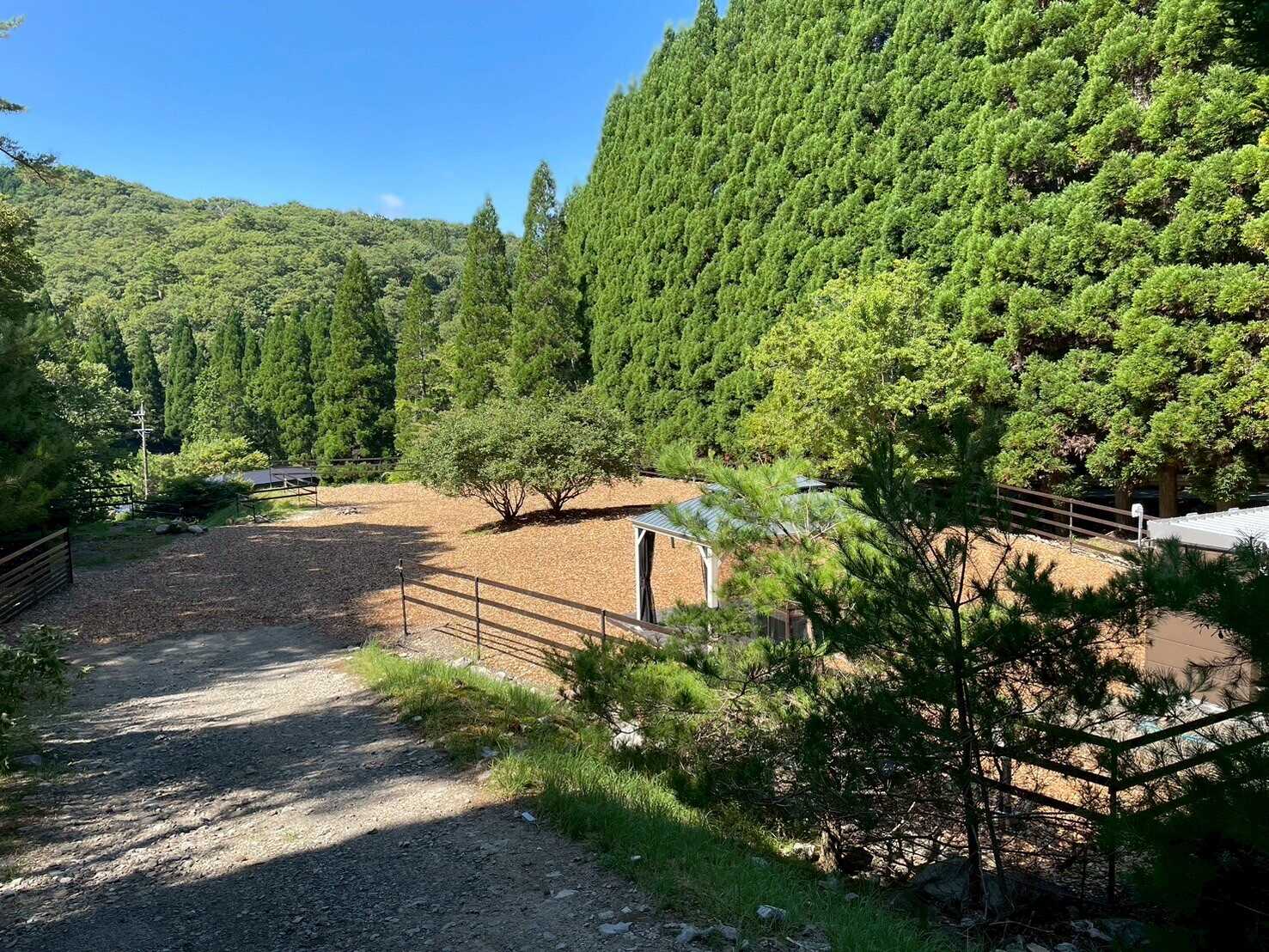 互いの森PARK