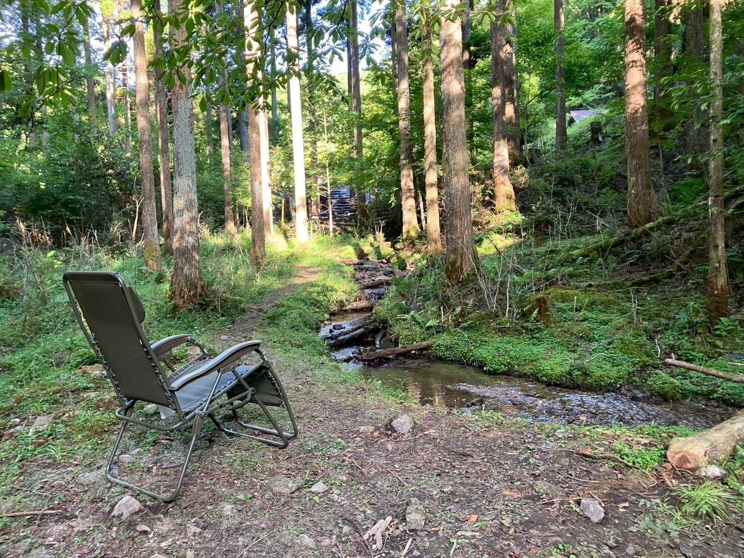 互いの森PARK