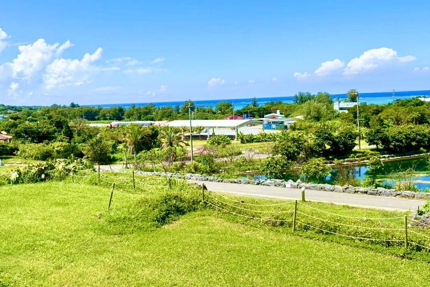 田空ハーソー公園キャンプ場