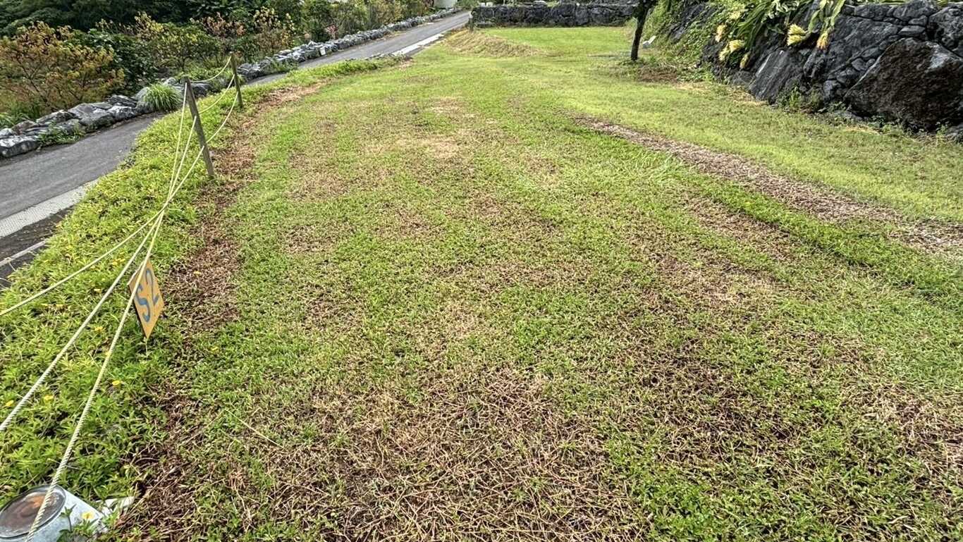 田空ハーソー公園キャンプ場 photo 3