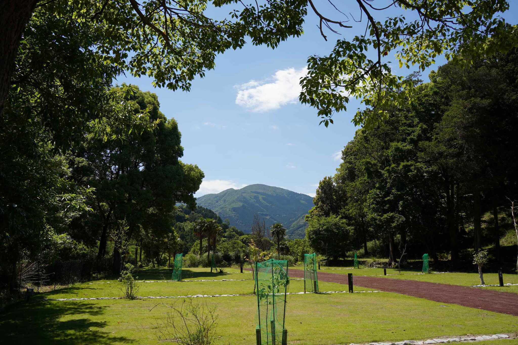 さくら山キャンプ場