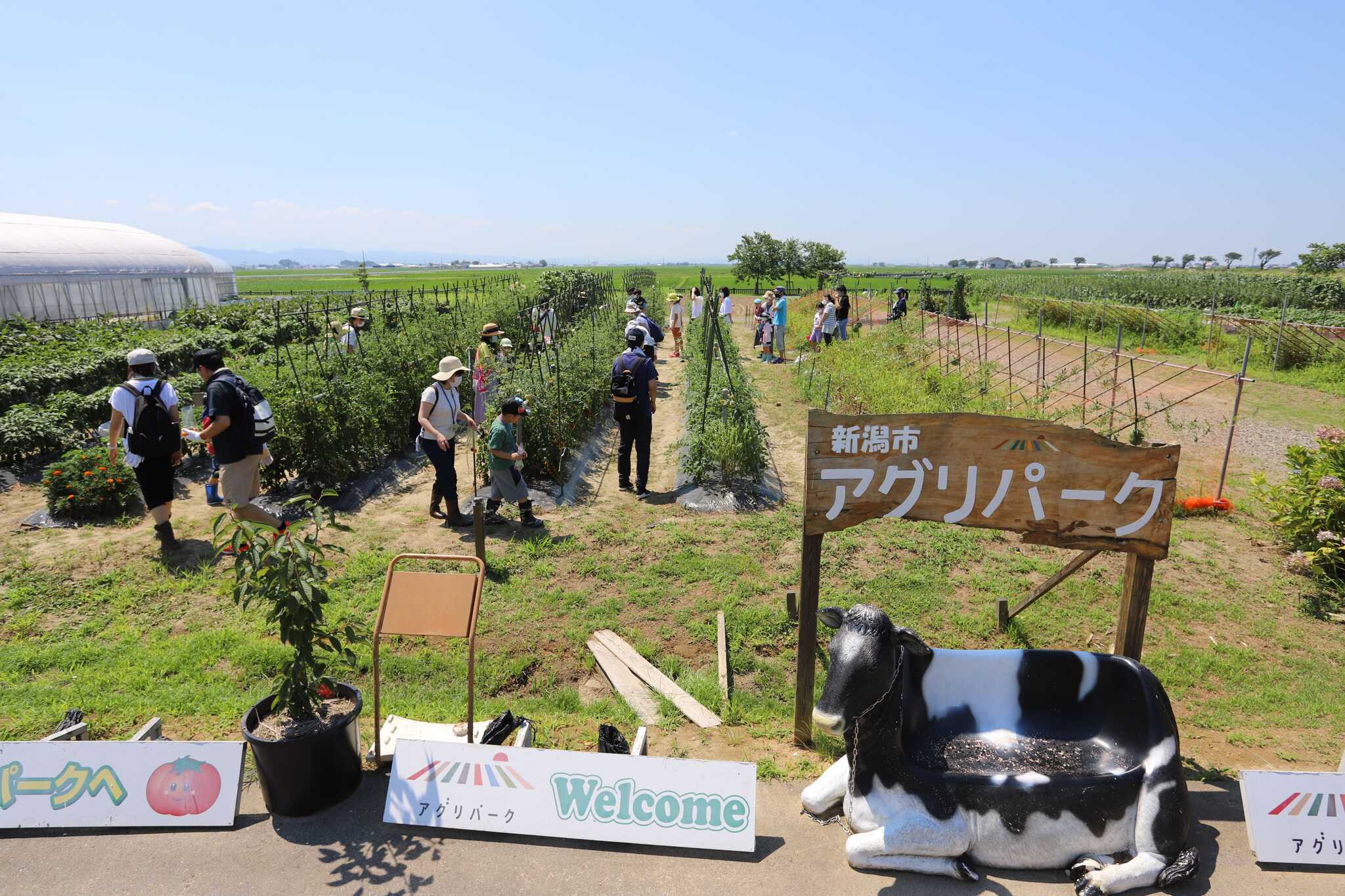体験ほ場