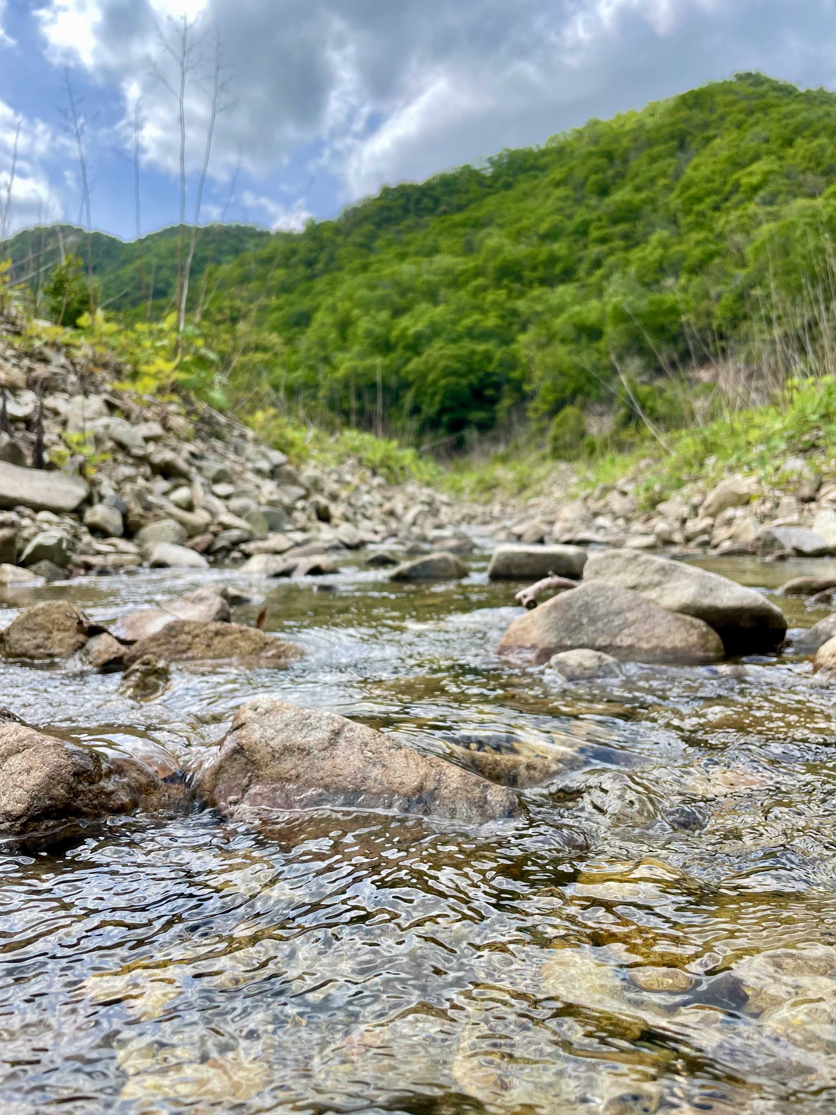 BAMPO CAMP SITEの写真 4枚目