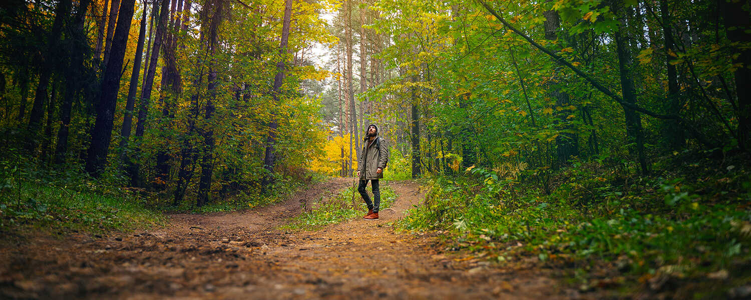 Black Stone National Park