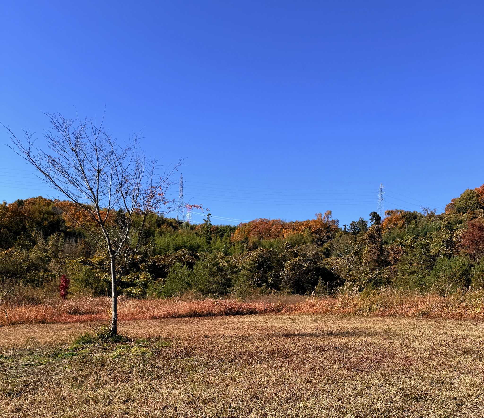 UTA_CAMP_FIELDの写真 4枚目