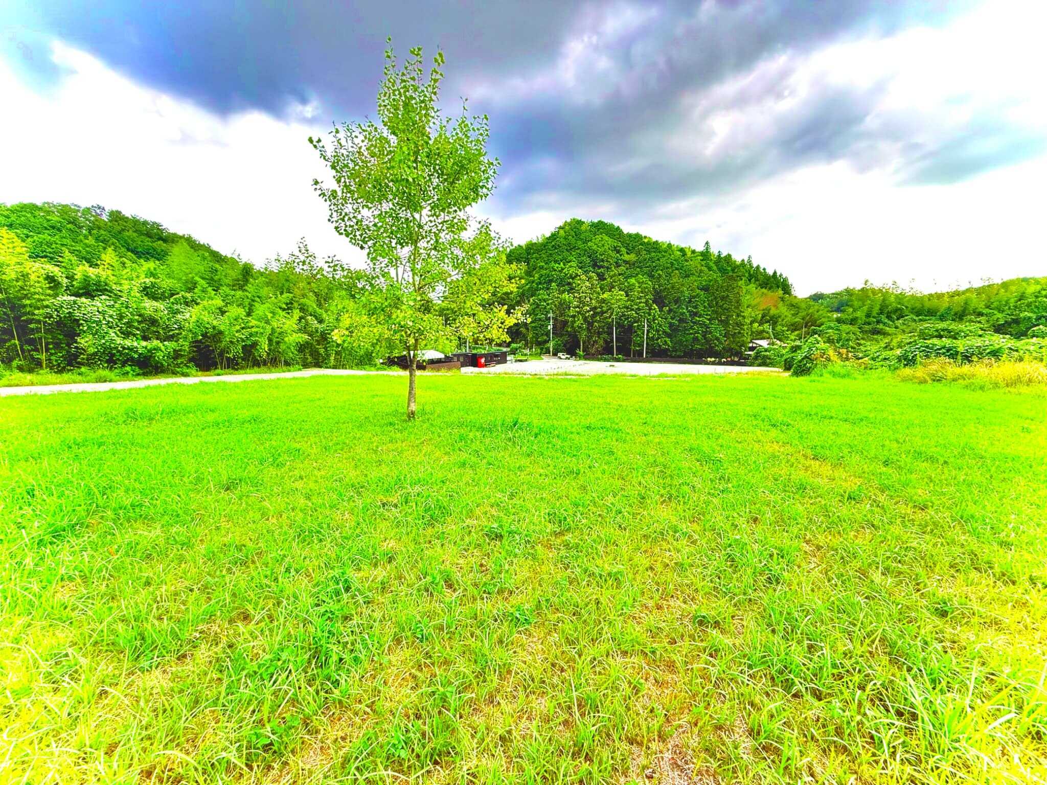 UTA_CAMP_FIELDの写真 5枚目