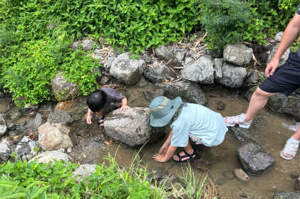 ひんやり冷たい、小さな川