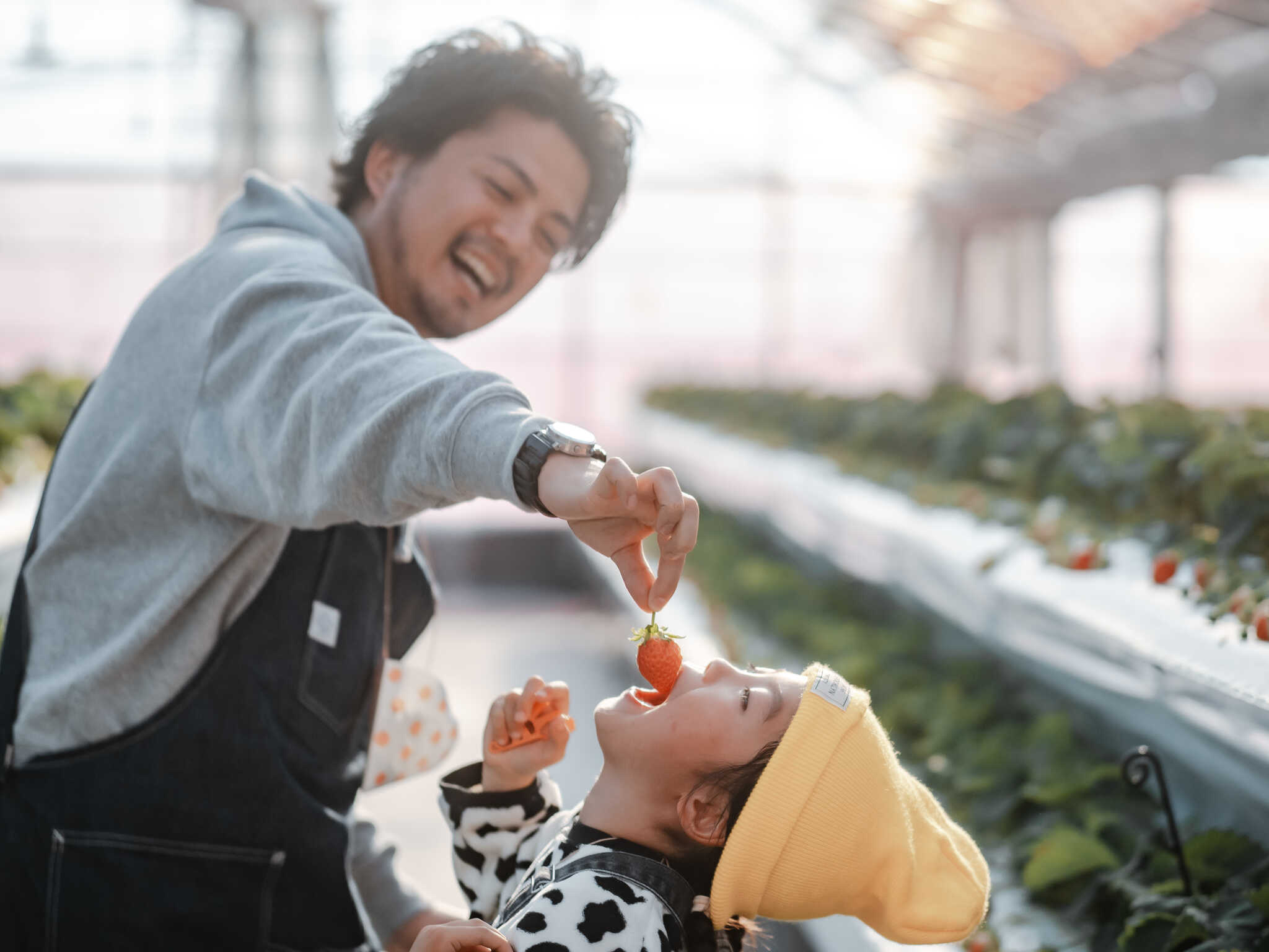 いちご狩り体験も出来ます。完全予約制