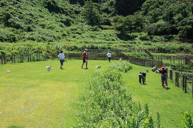 The earth with dogs izumozaki baseの写真 3枚目