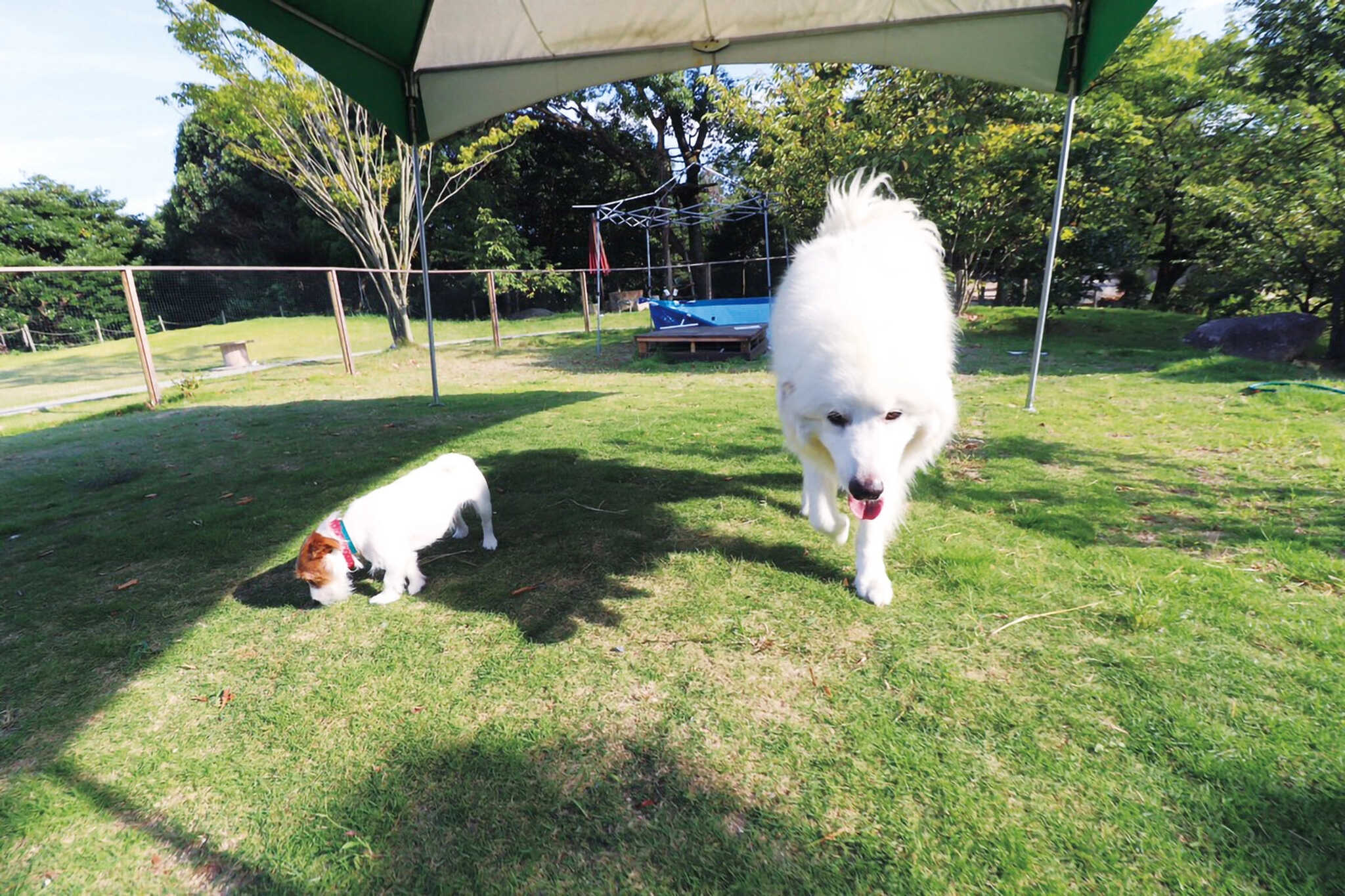 Gardener's campの写真 4枚目
