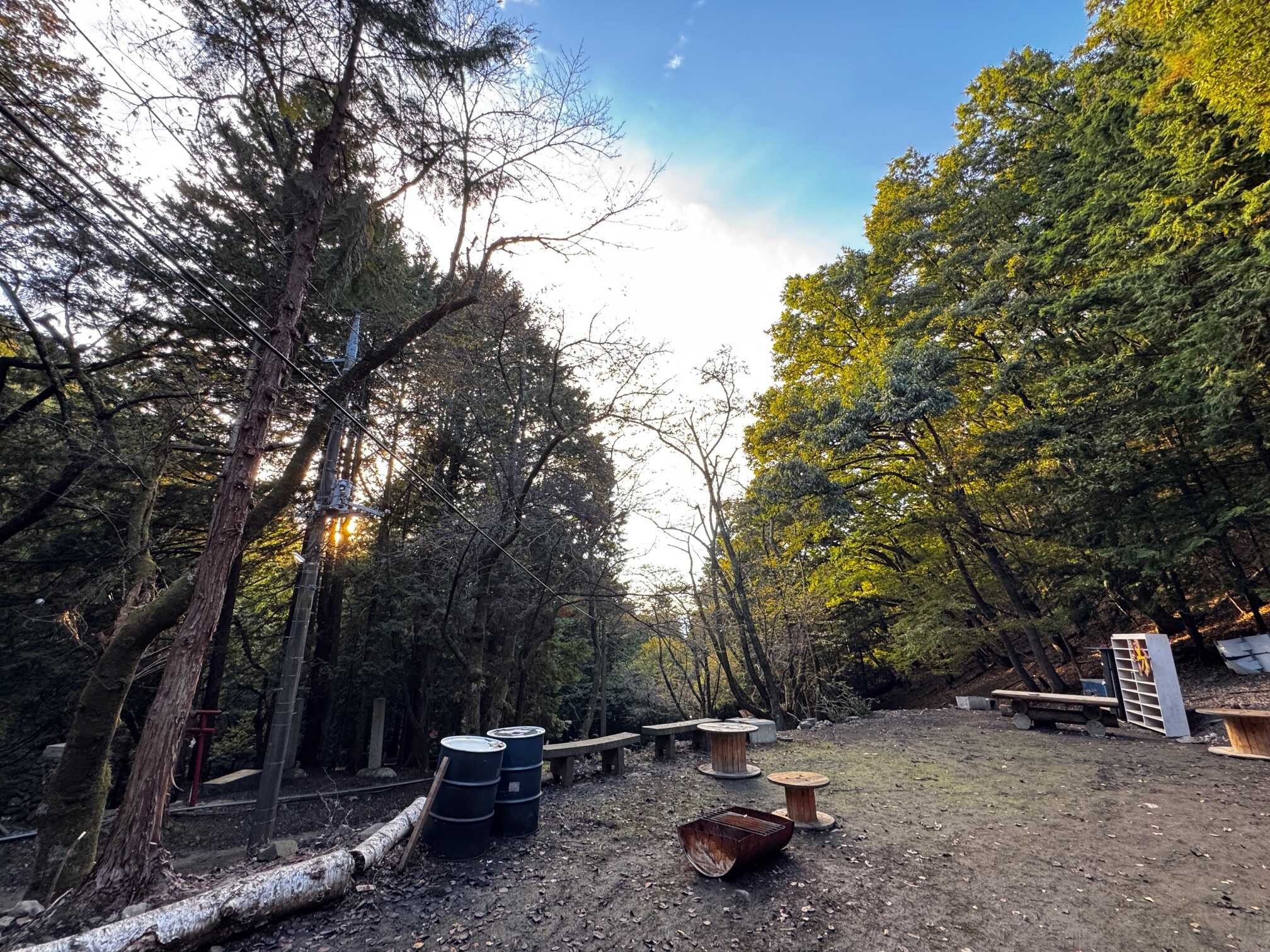 The Little Bee WILD BASE CAMP