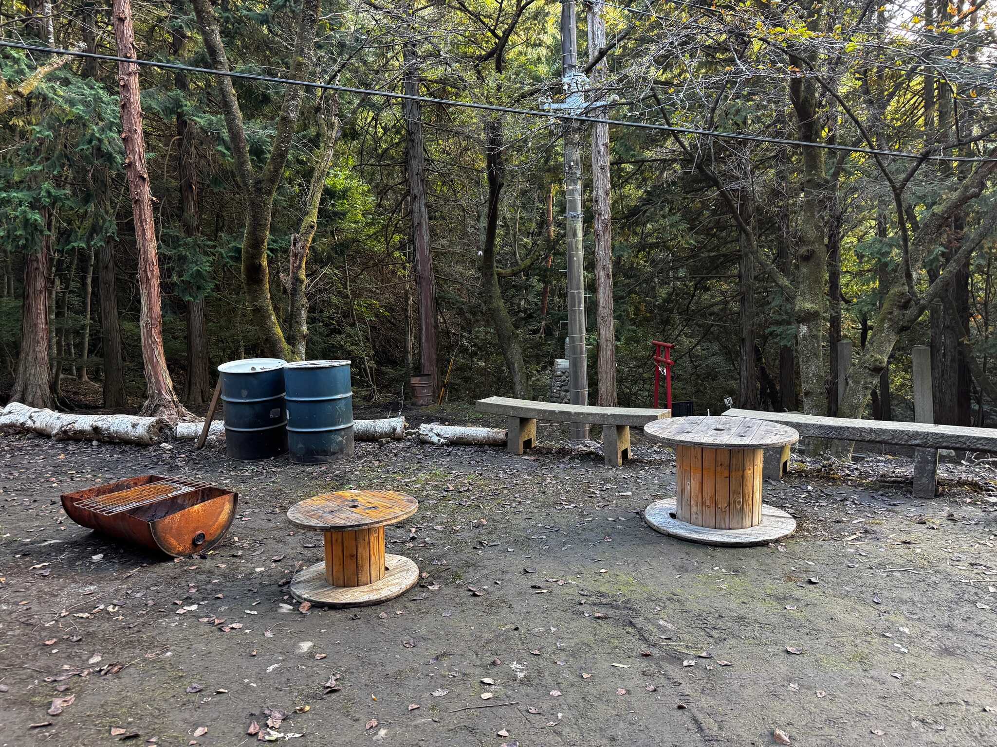 The Little Bee WILD BASE CAMP