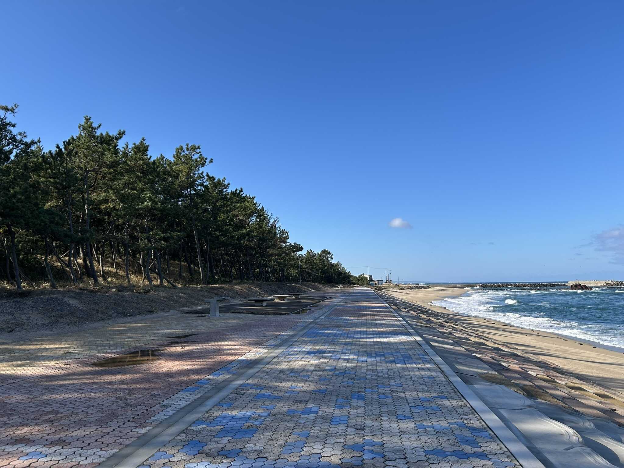 キャンプ場目の前に広がる日本海。海沿いの遊歩道はお散歩に最適