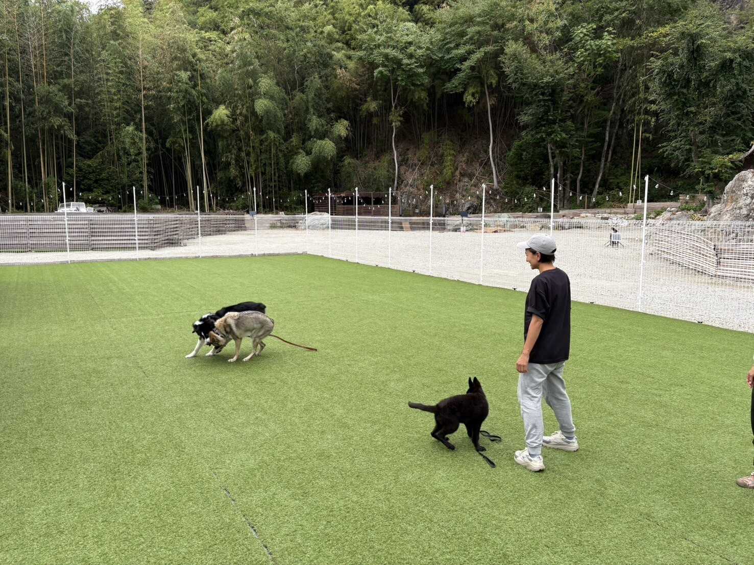 ロックリゾートの中央には、10m×20mという広々としたドッグランを設置。 全面人工芝を敷き詰めており、少々雨が降っても汚れる心配もありません。ドッグランは貸し切り可能なので、大型犬も気兼ねなく自由に走り回れます。