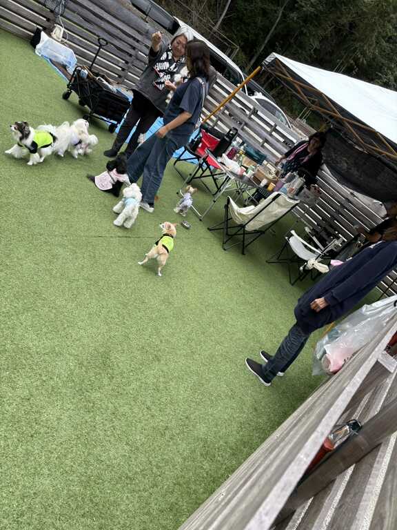 SHINKEロックリゾート photo 4