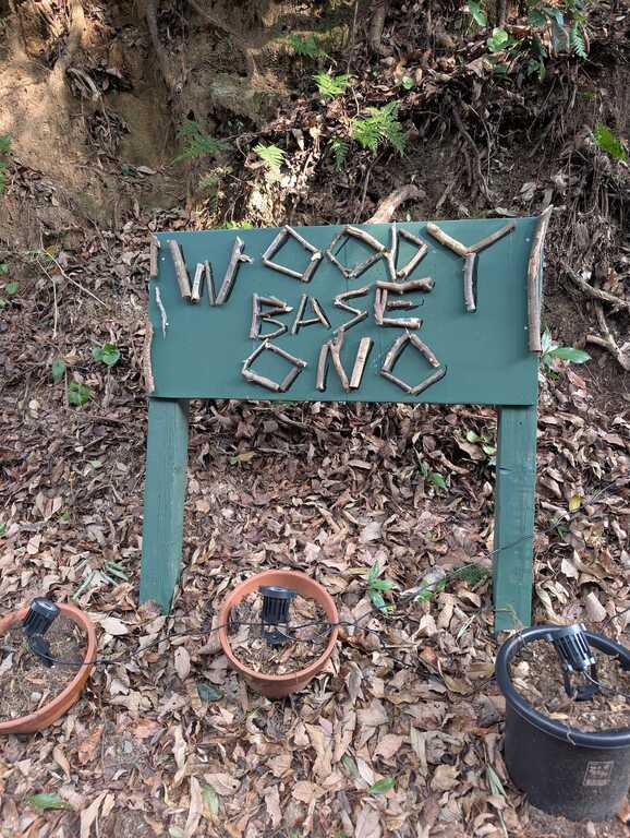 WOODY BASE ONO photo 4