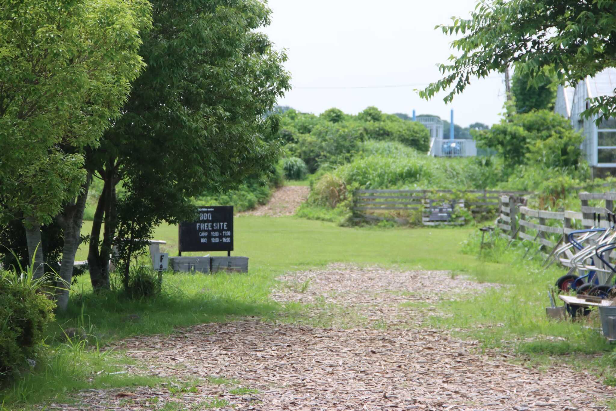 Kingfisher Garden