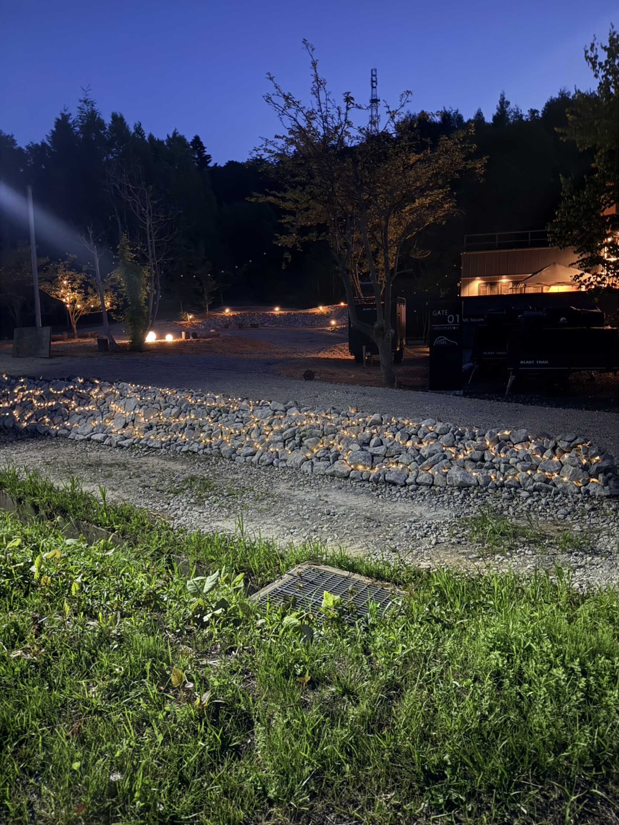 A Peach In Mt. Square