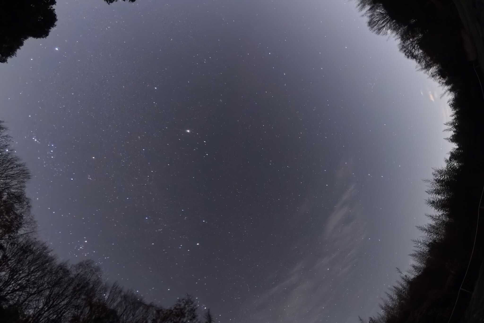 電線・街灯無しで星空も綺麗に見えます!