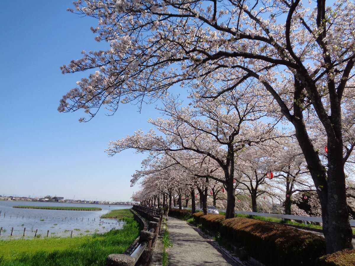 川越市グリーンツーリズム拠点施設の写真 5枚目