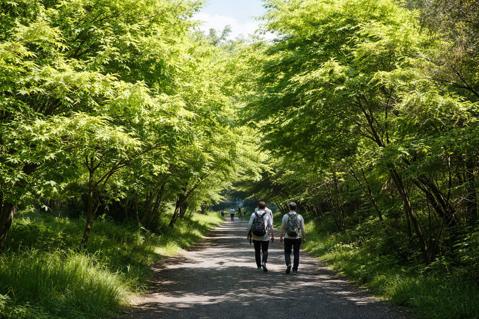 里山キャンプウッドクリフ